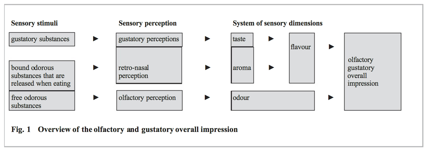 Overview of the olfactory and gustatory overall impression